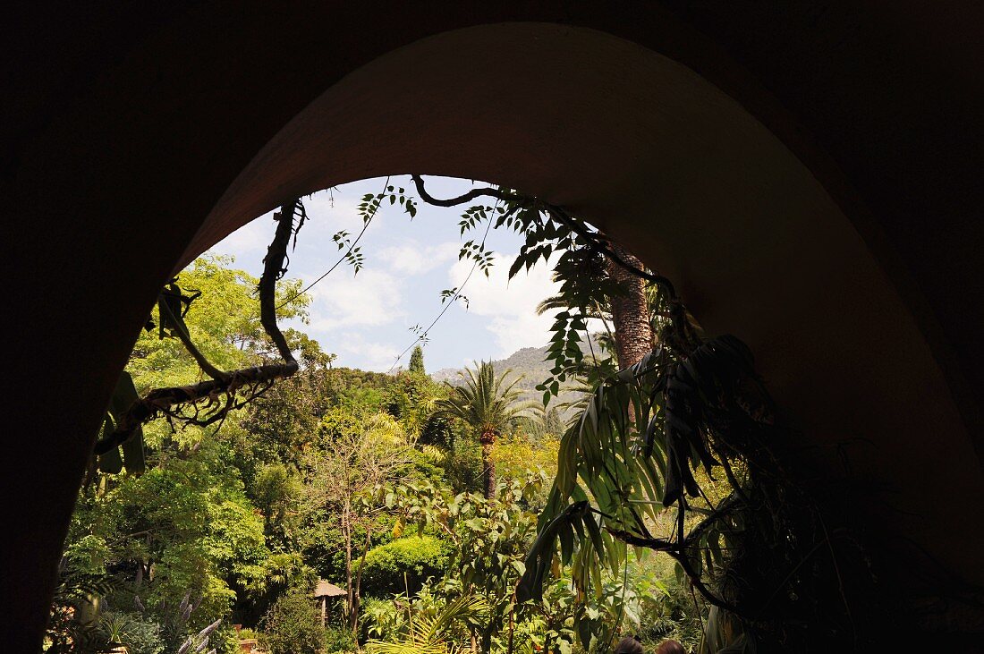 View of glorious, Mediterranean landscaped garden through archway