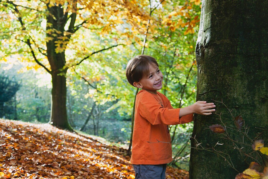 Kleiner Junge berührt einen Baumstamm im herbstlichen Wald