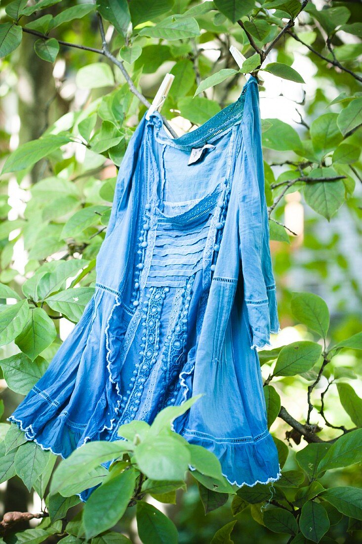 Blue vintage dress hung in a tree