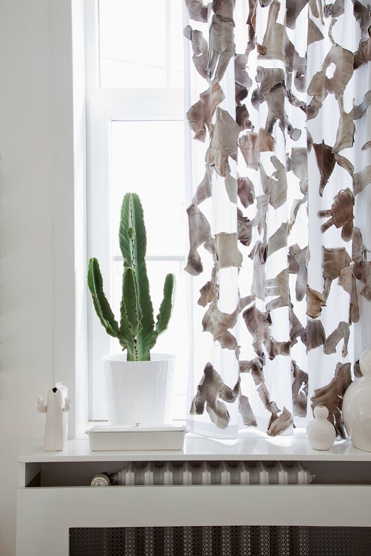 Kaktus auf Fensterbrett im Gegenlicht neben graugemusterter Gardine