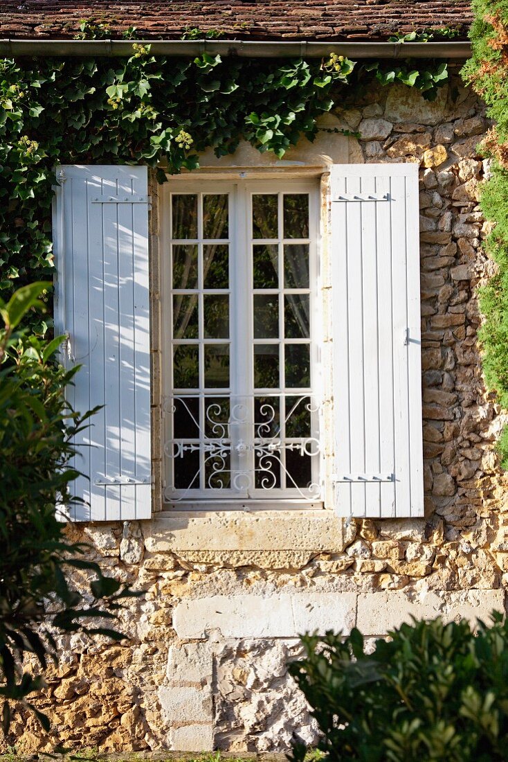 Lattice window with white wooden shutters in climber-covered stone facade