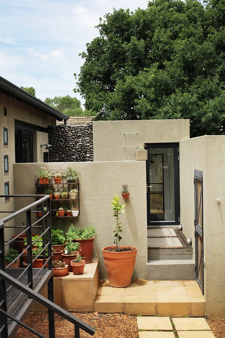 Urbaner Terrassengarten eines Architektenhauses mit bepflanzten Tontöpfen vor grauer Betonwand