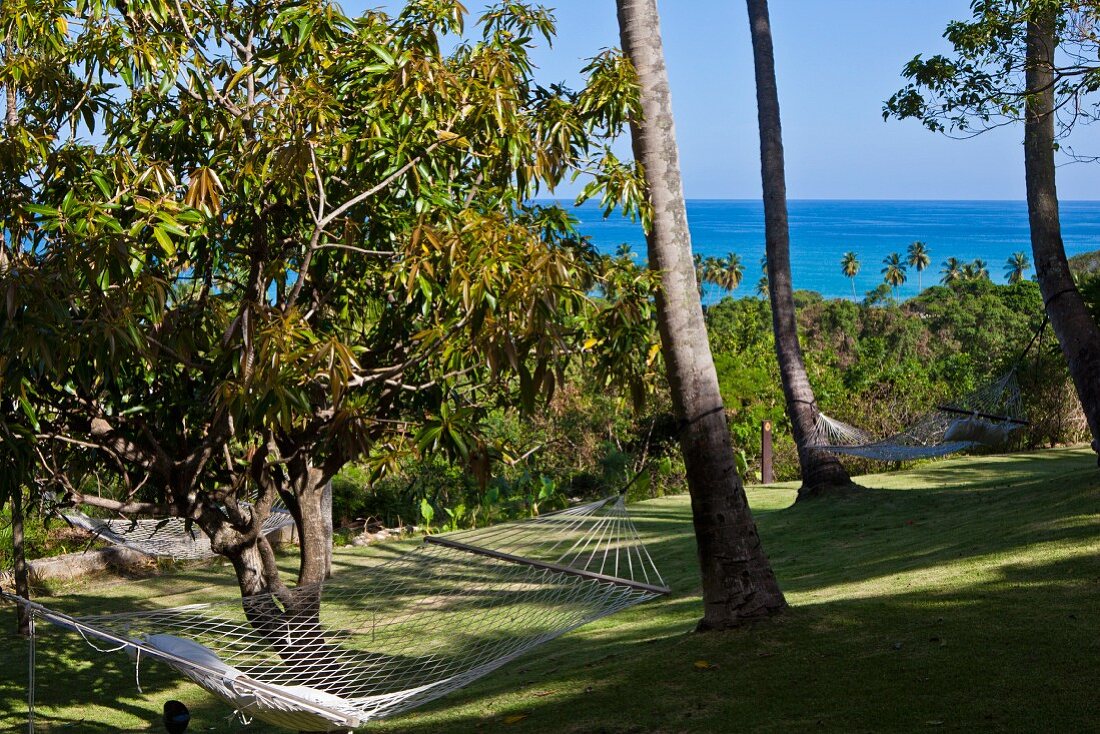 View over hammocks and lawns to blue ocean