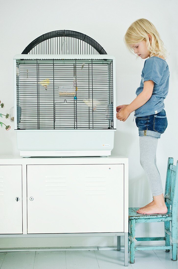Blonde girl standing on old child's chair feeding caged birds