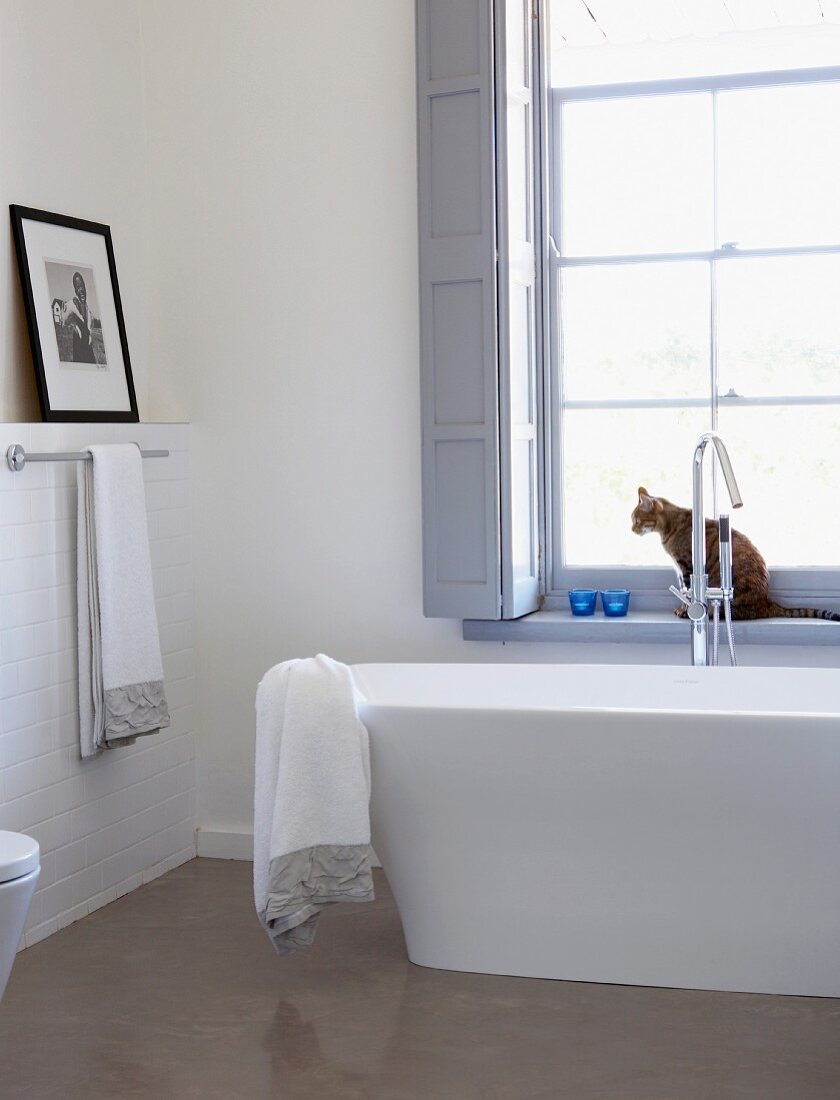 Modern bathroom with free-standing bathtub below window and cat sitting on windowsill