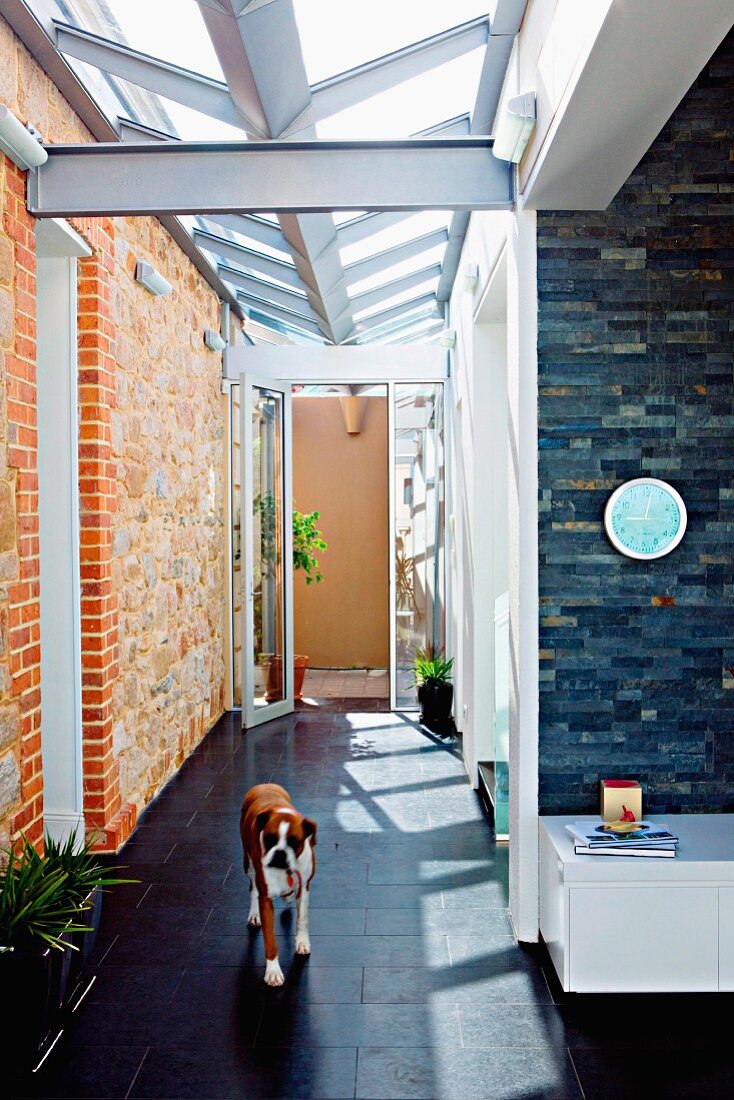 Bright hallway with skylight and one stone wall; dog in foreground