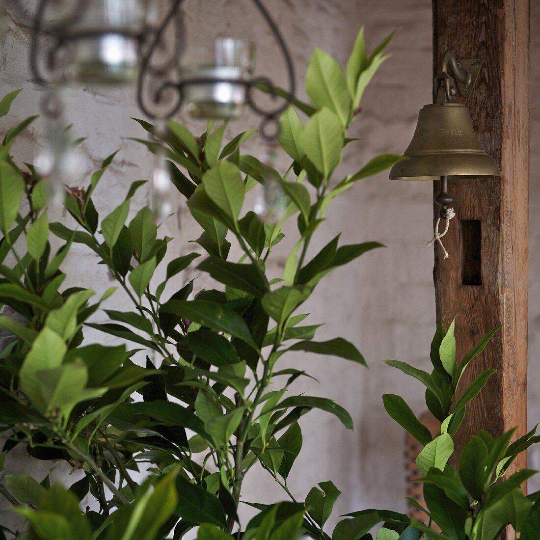 Green plants next to brass bell hanging on wooden post