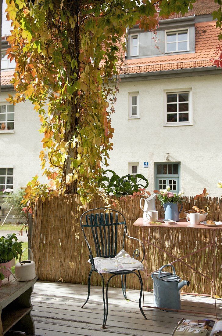 Sitzplatz auf der Terrasse mit Sichtschutz und Wildem Wein