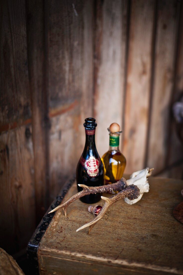 Bottle of champagne, bottle of olive oil and small set of antlers on wooden trunk