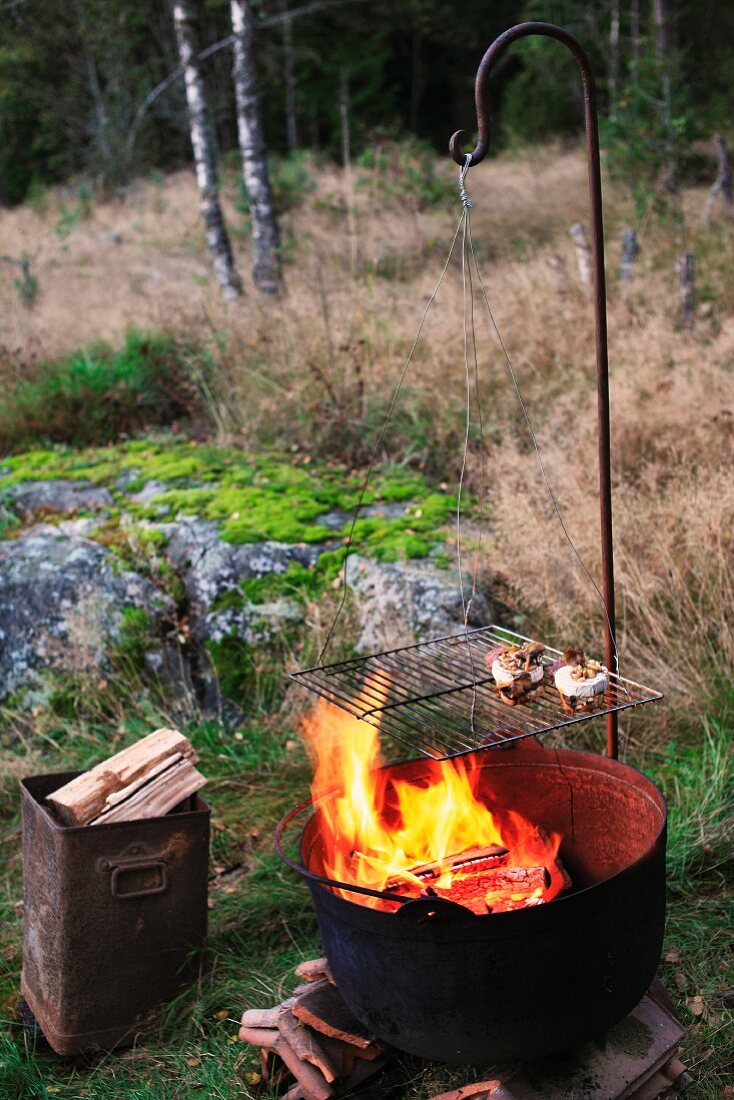 Rost mit Grillgut über loderndem Feuertopf auf einer Waldlichtung, daneben Blecheimer mit Brennholz