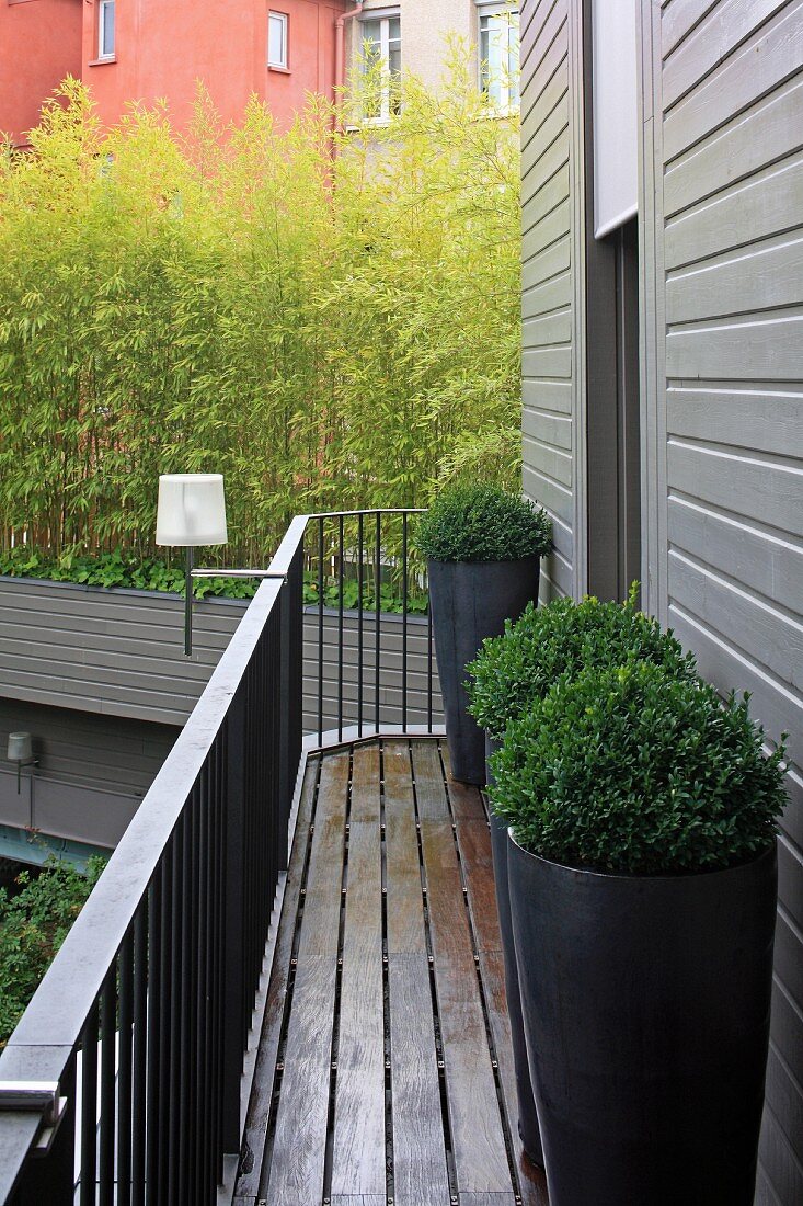 Boxwood in tall, gray planters on a narrow balcony in front of the gray wooden facade of a hotel