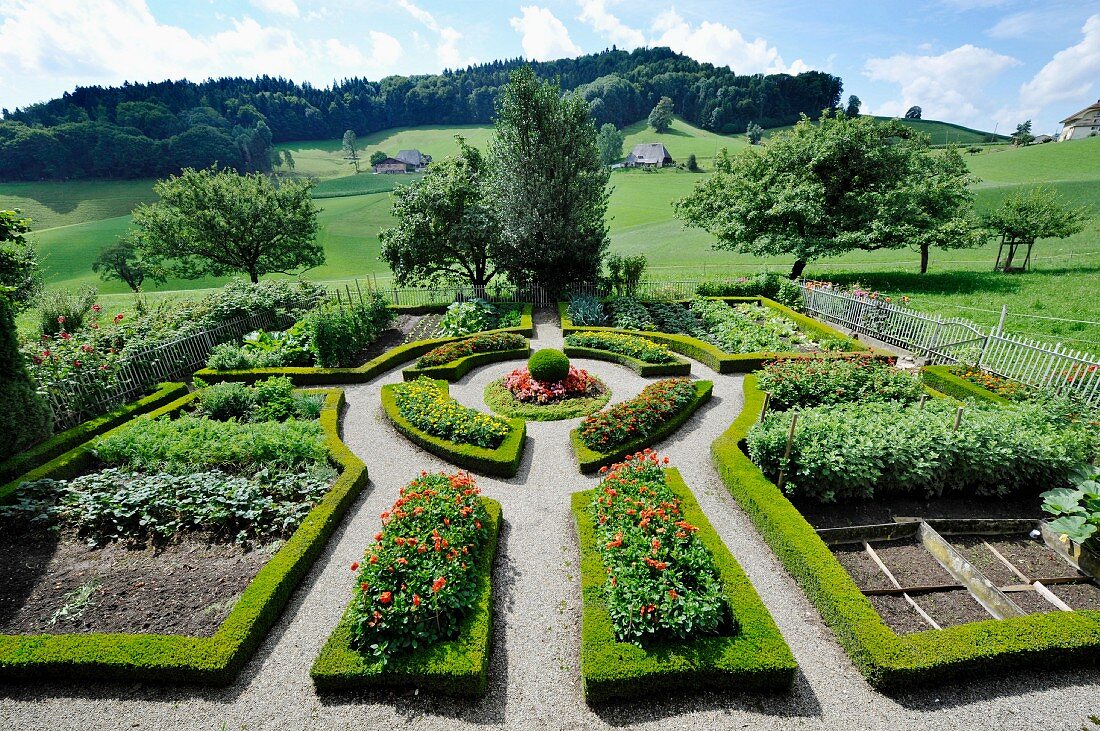 Bauerngarten mit Buchsumrandungen (Mistelberg, Schweiz)