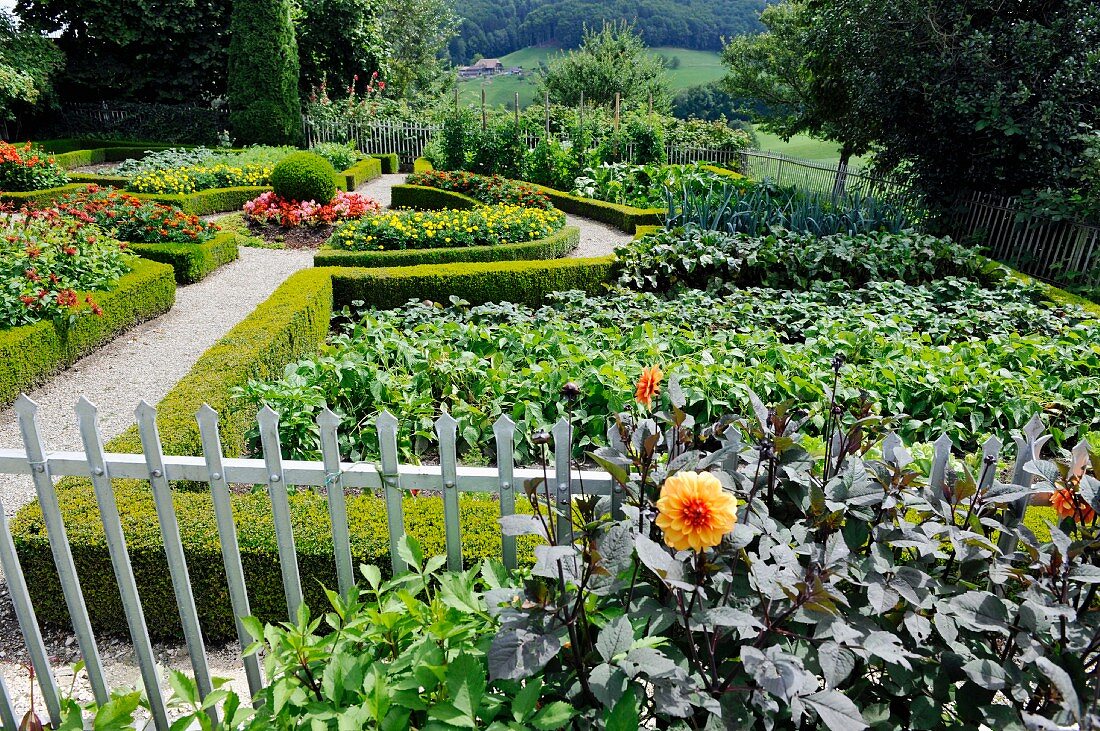 Cottage garden with box-hedged beds & gravel paths (Mistelberg, Switzerland)