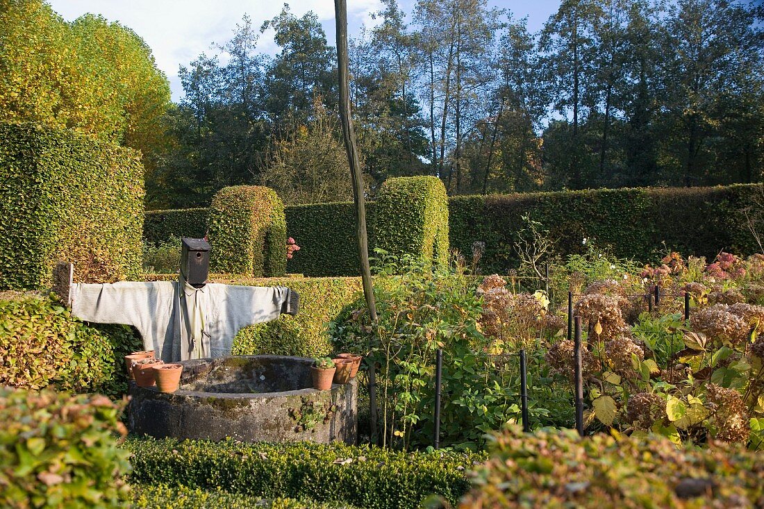 Garden with vegetables, old well, scarecrow and clipped hedges