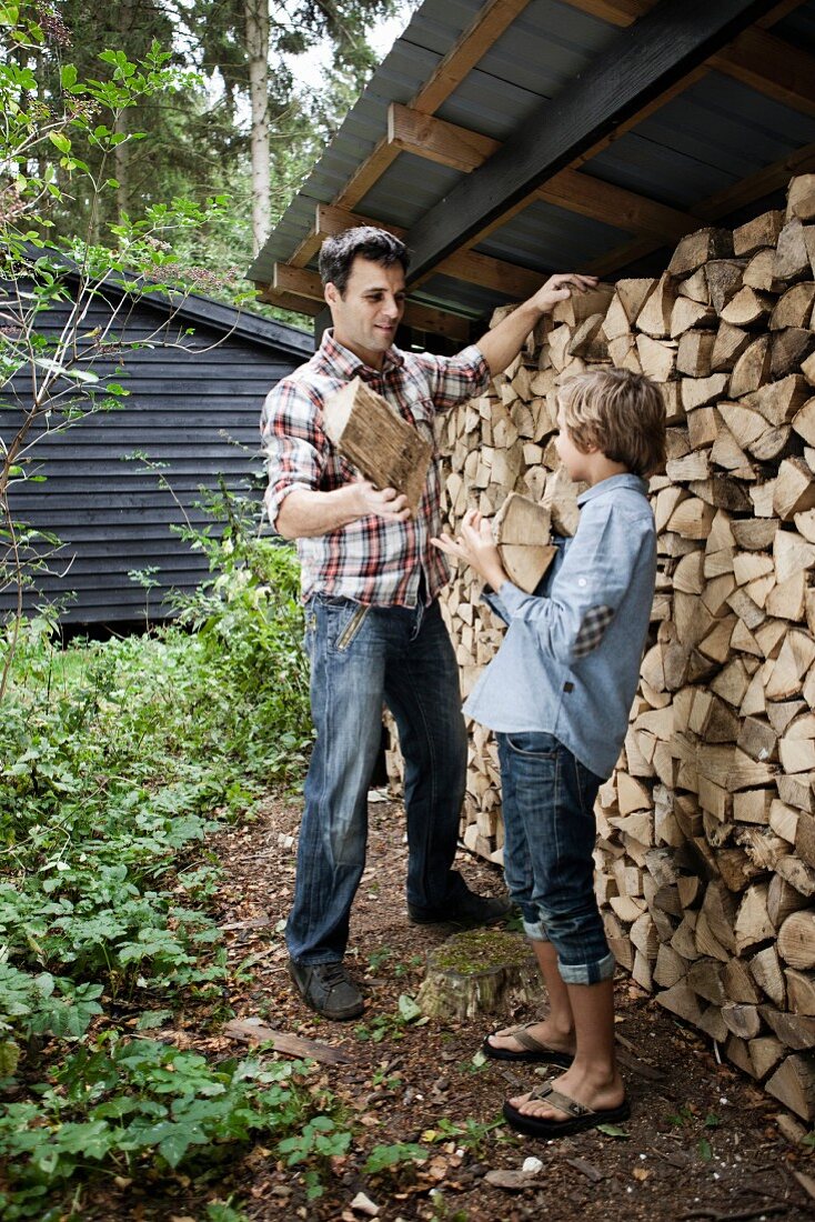 Vater und Sohn sammeln Brennholz