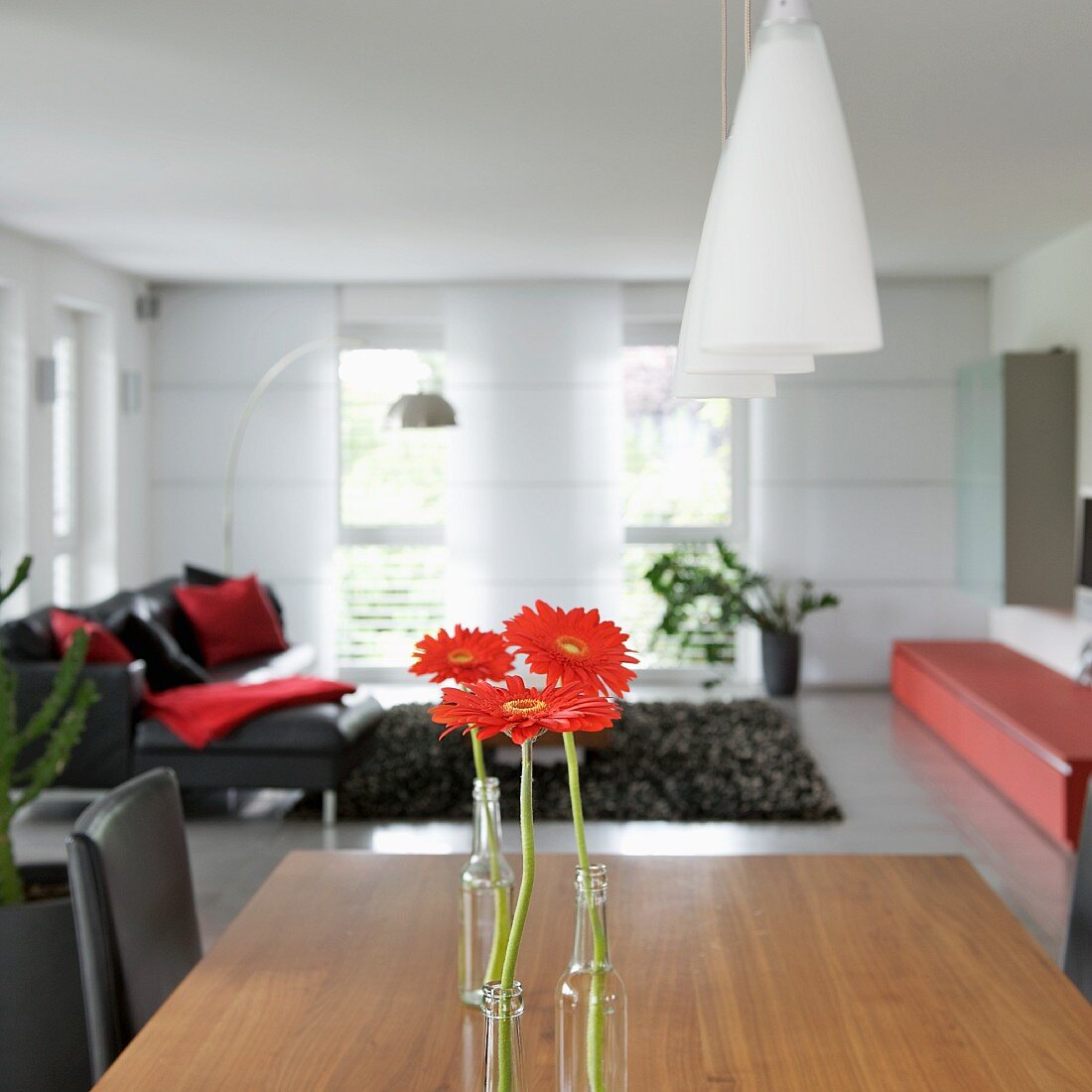 Single red gerbera daisies in bottles on dining table below pendant lamps with frosted glass shades and designer lounge area in background