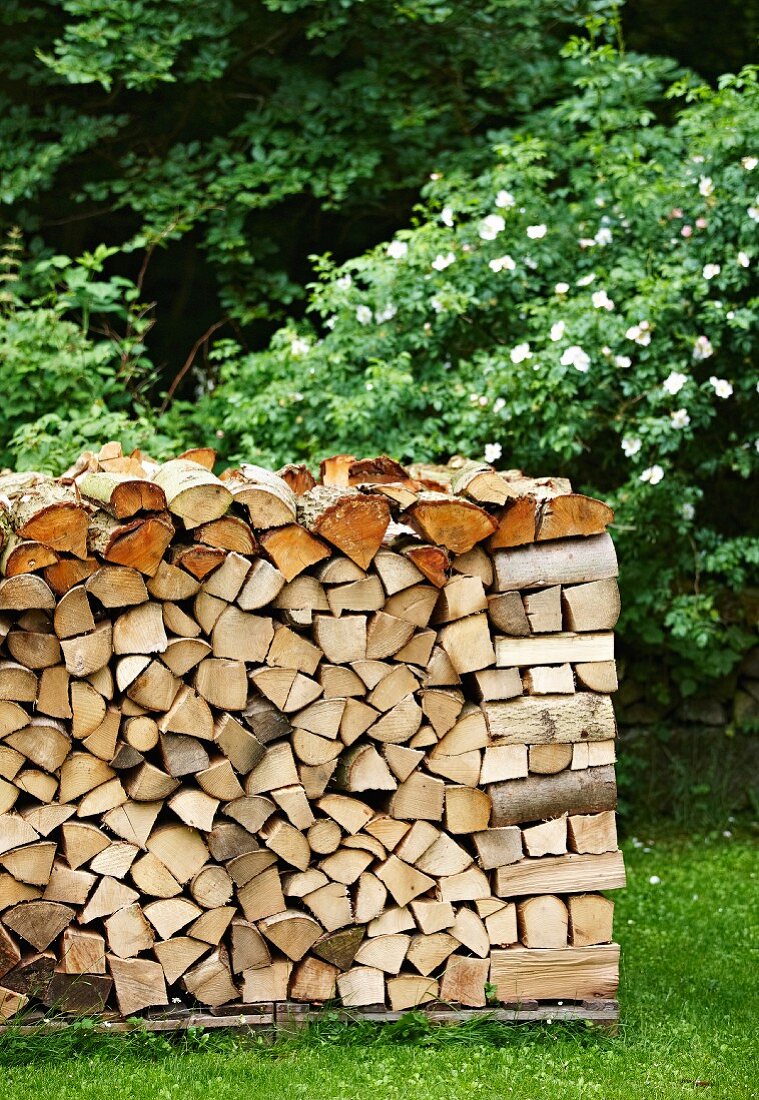 Stack of firewood in garden