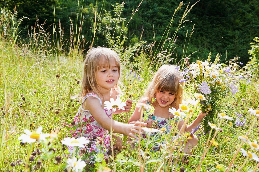 Zwei blonde Mädchen pflücken Blumen auf einer Sommerwiese