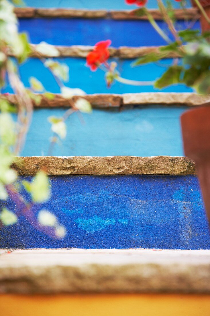 Blau gestrichene Steintreppe mit Topfpflanzen