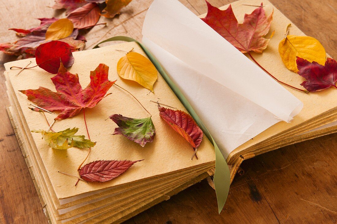 Herbstliche Blätter auf einem Buch