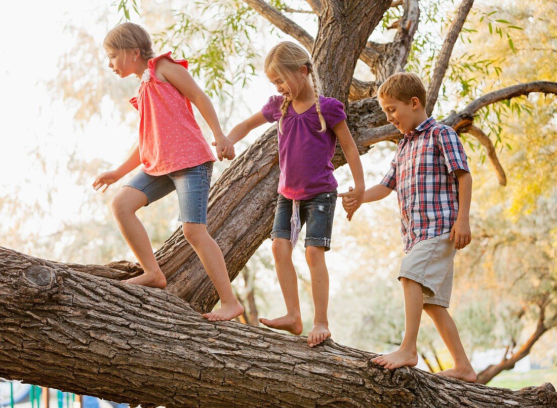 Children balancing on a tree trunk