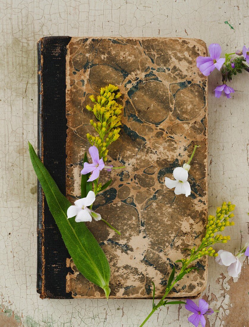 Antikes Buch, mit Blüten bestreut