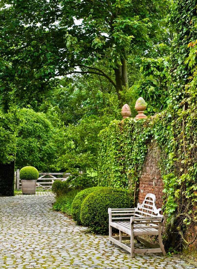 Gardens with topiary shrubs & wooden bench against wall