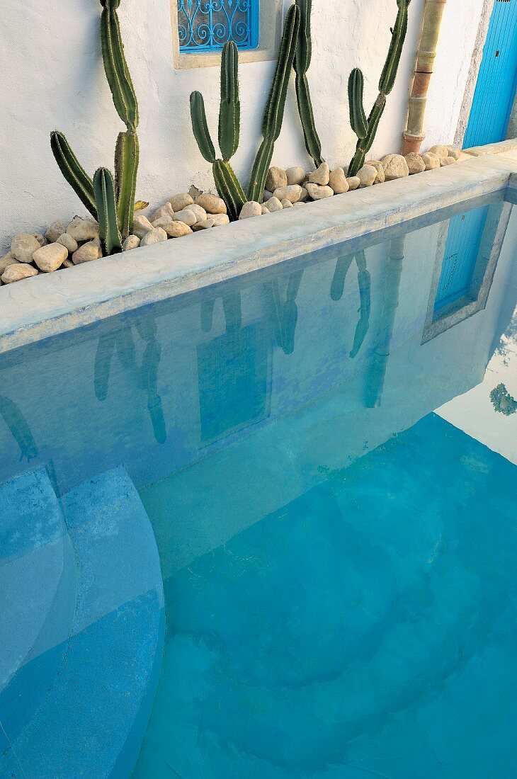 Pool of turquoise water edged by bed of pebbles and cacti