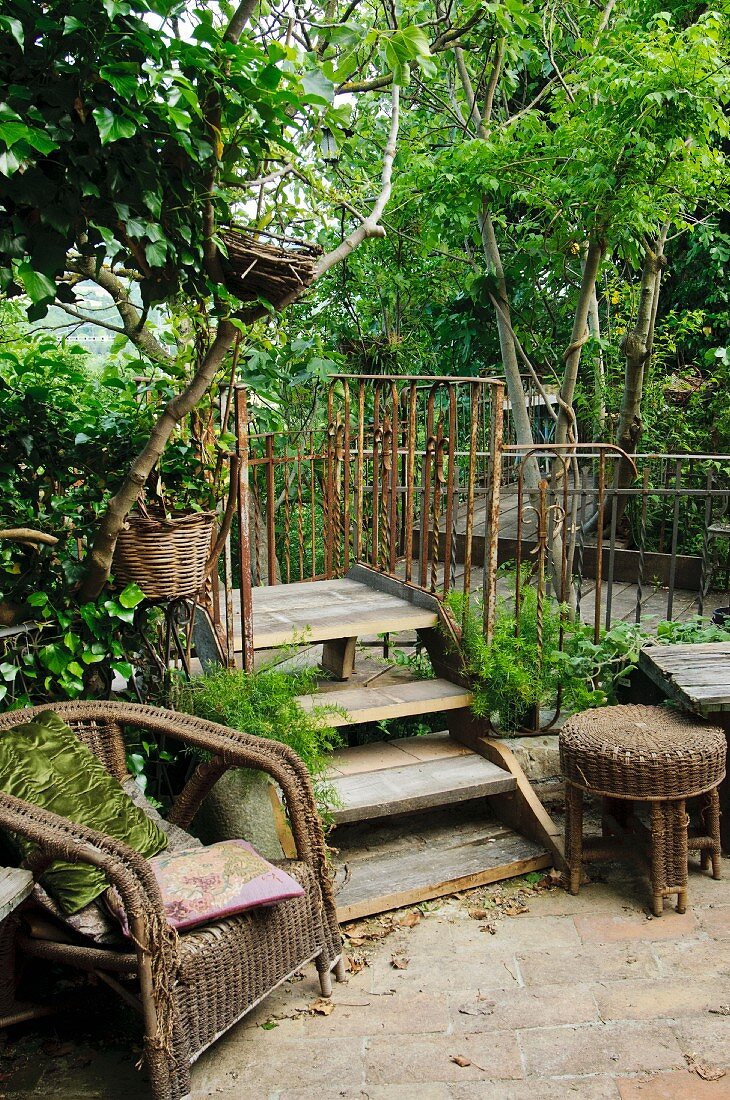 Old wicker chair next to wooden steps with rusty metal balustrade in garden with dense vegetation