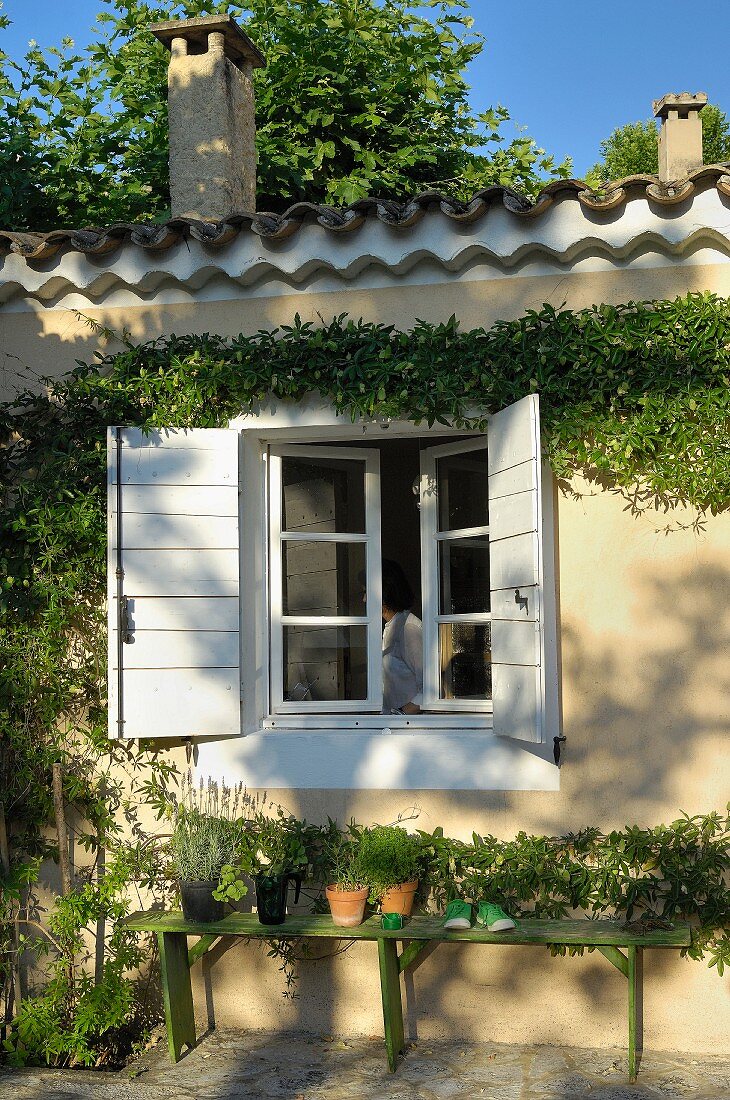 Sunlit, climber-covered house facade and green wooden bench under open window with white shutters