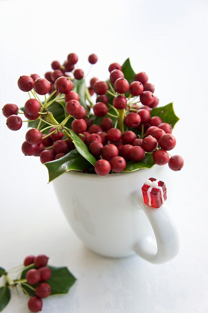 Holly berries in mug