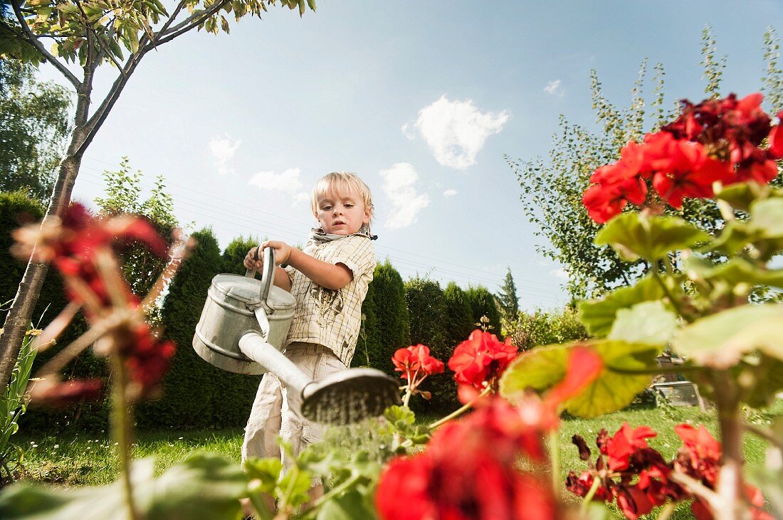 Blonder Junge giesst die Blumen im Garten