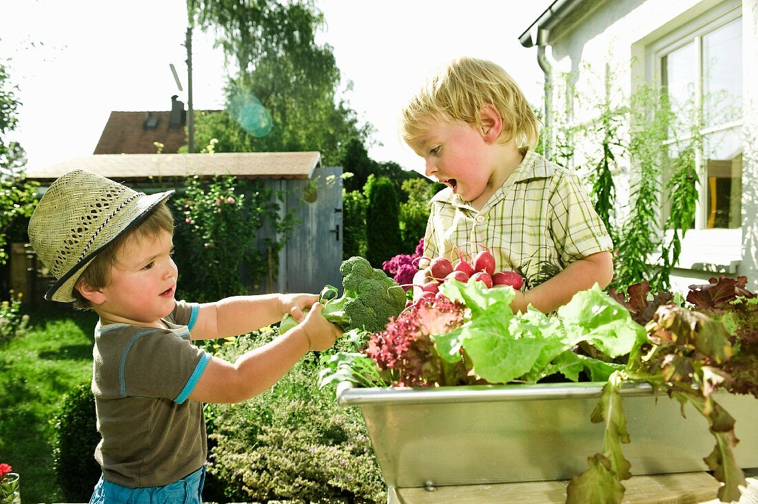 Kleine Jungen halten Brokkoli und Radieschen im Garten