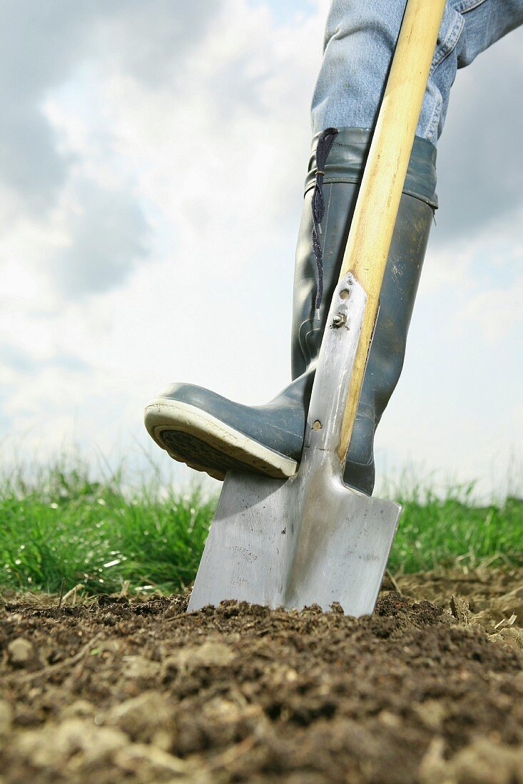 Germany, Bavaria, Human legs with spade on field