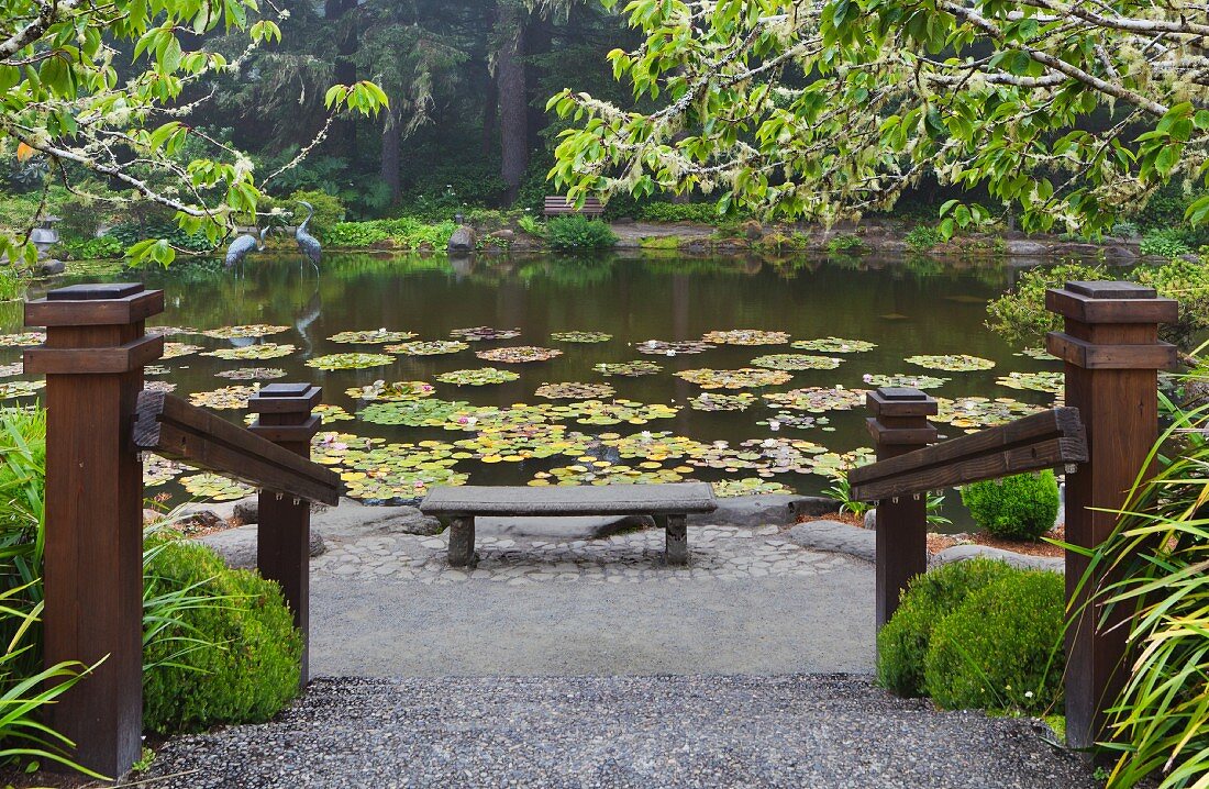 Lily pond and peaceful seating area with bench in botanical gardens (Oregon, USA)