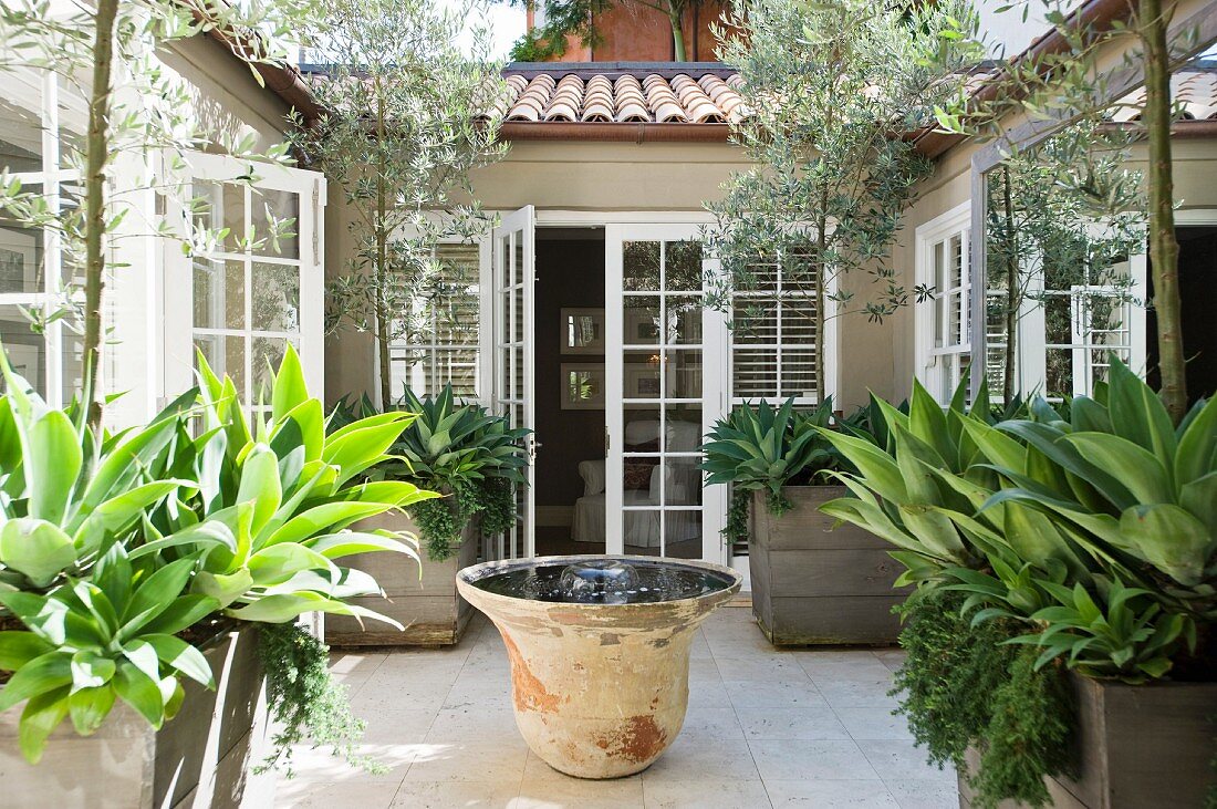 Large-leafed potted plants and ornamental fountain in patio-style courtyard