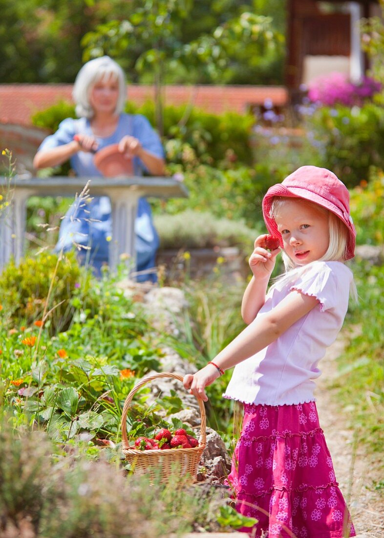 Mädchen erntet Erdbeeren im Garten, Bäuerin im Hintergrund
