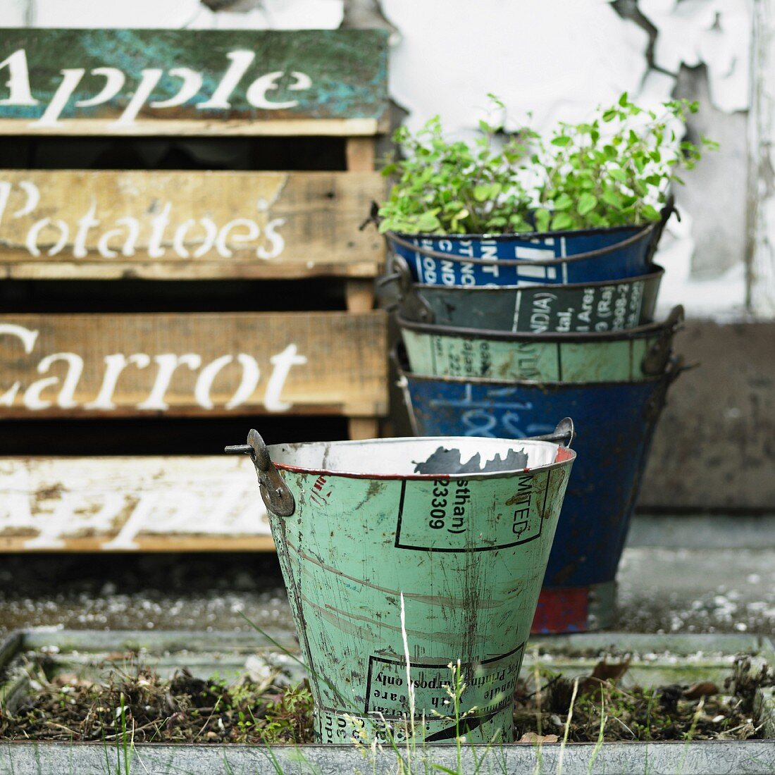 Dekorative Eimer und Holzkisten im Garten