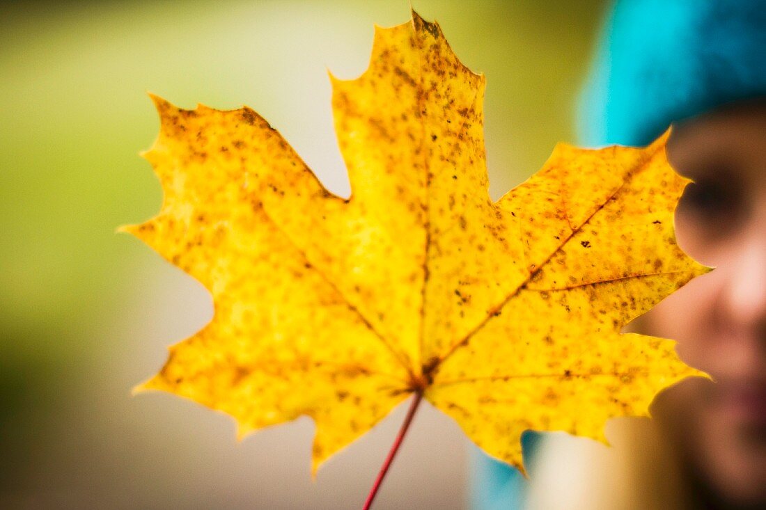 Frau hält ein gelbes Herbstblatt