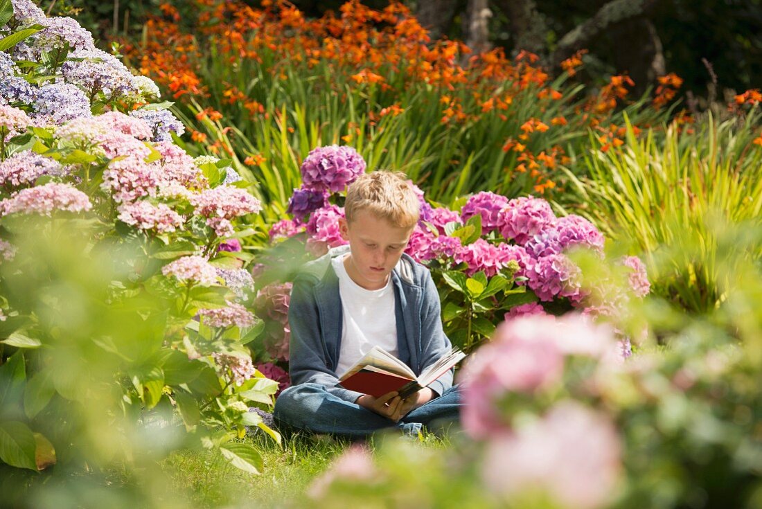 Boy reading in garden
