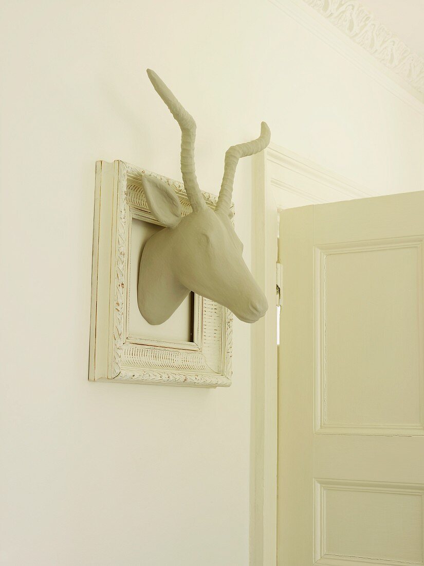 White gazelle's head in white picture frame as wall decoration