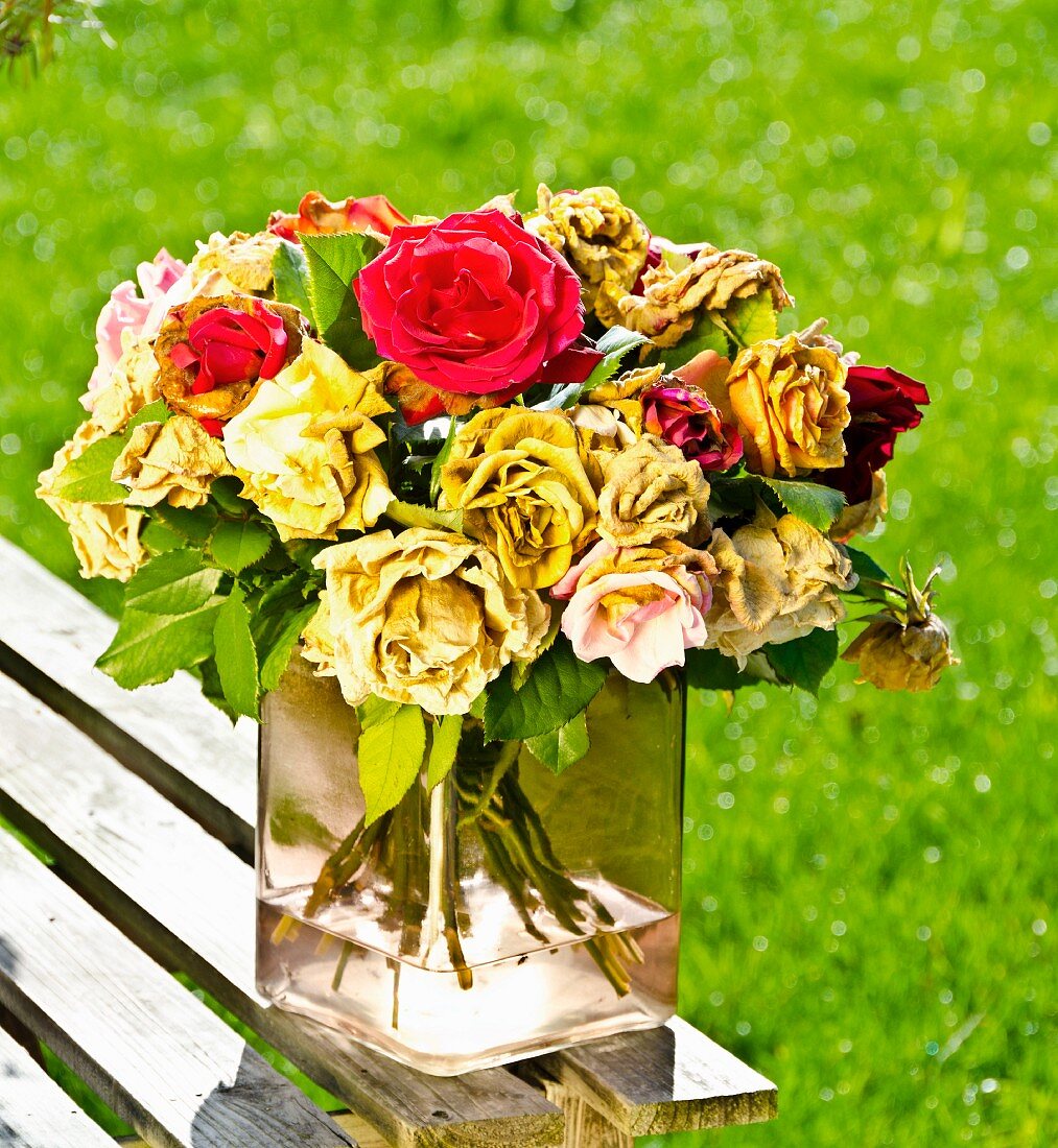 Wilted bouquet of roses on garden table