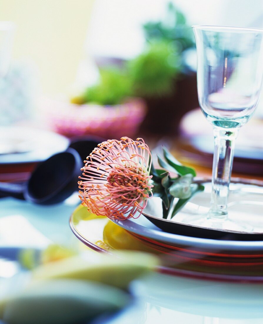 Place setting with tropical flower and wine glass