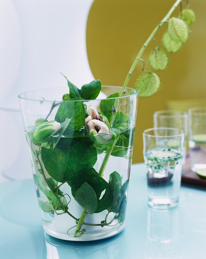 Flowering twigs in glass of water on table