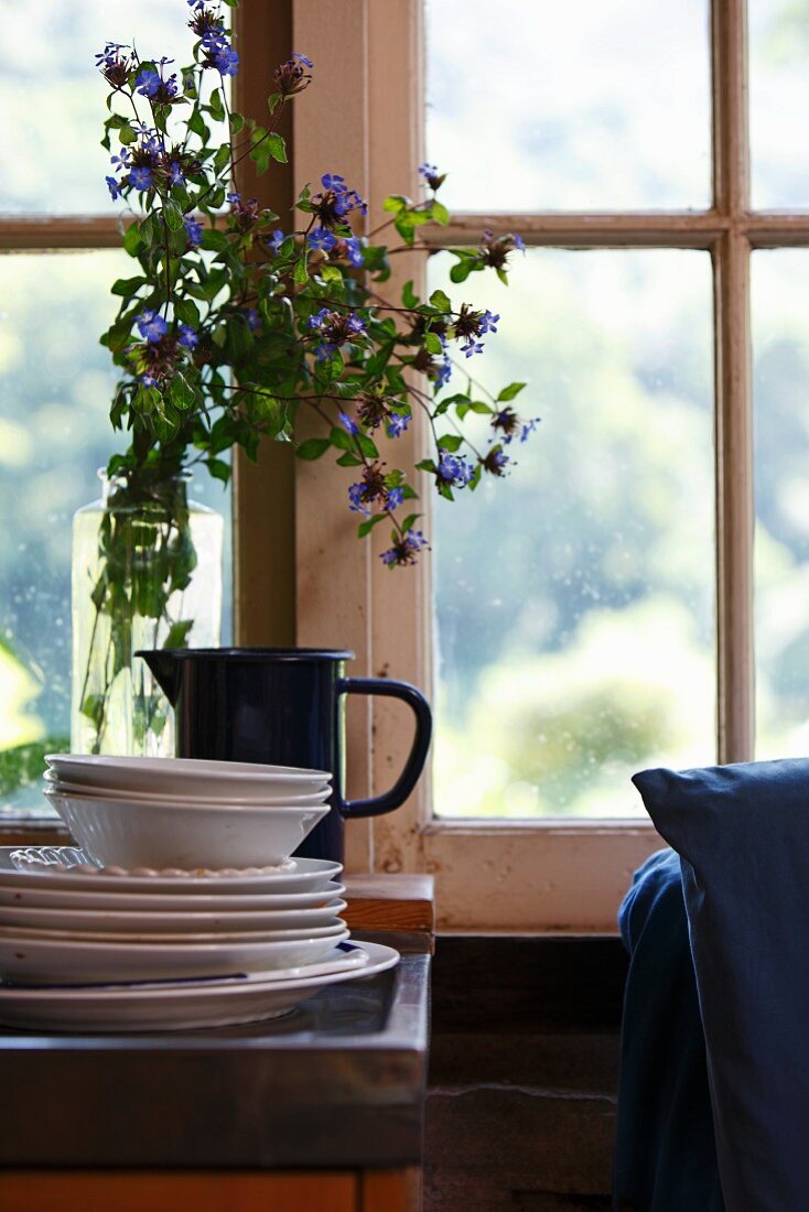 Stack of vintage plates and vase of blue flowers in front of window