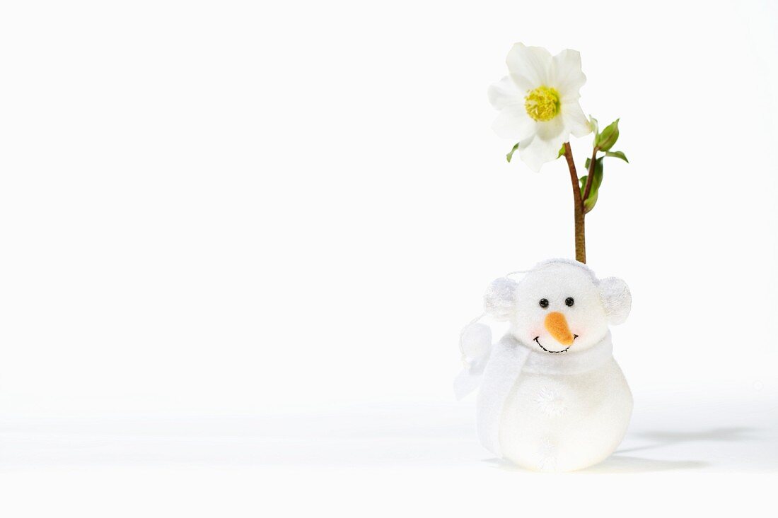 Hellebore and snowman