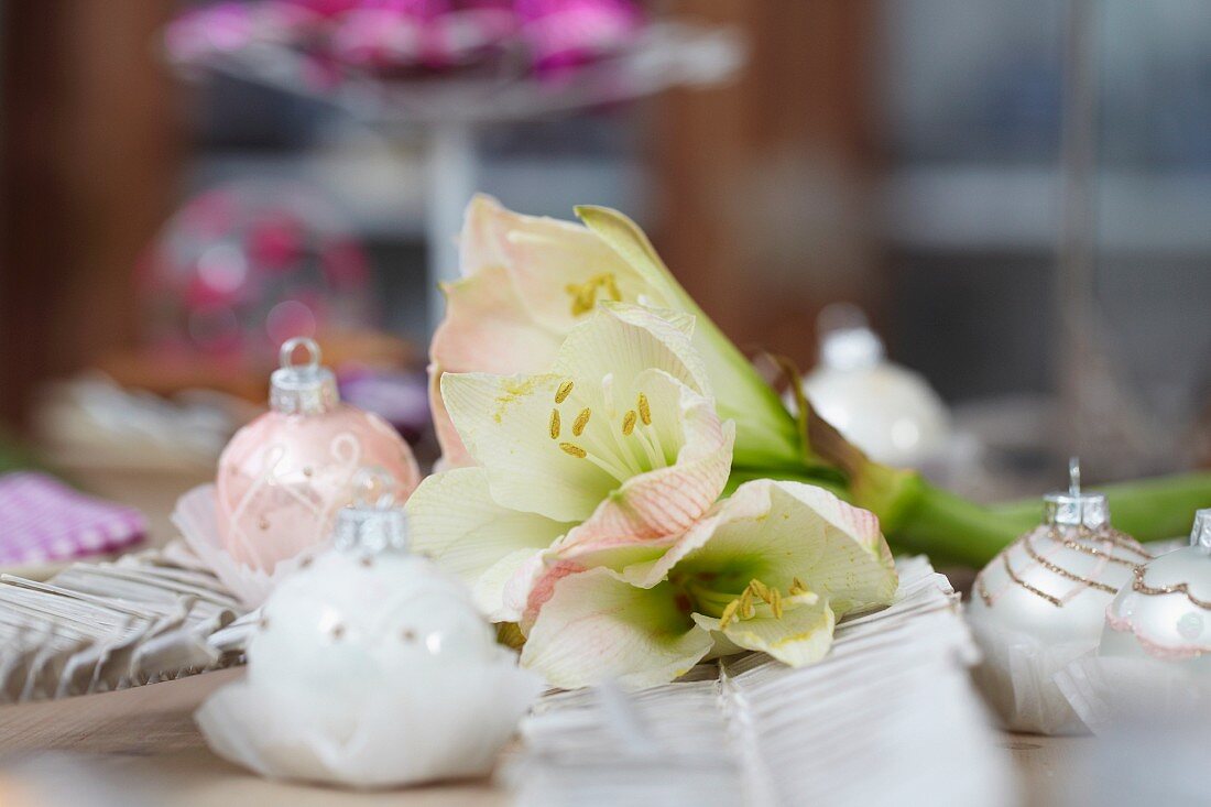 Christmas table centrepiece of white amaryllis and baubles on set table