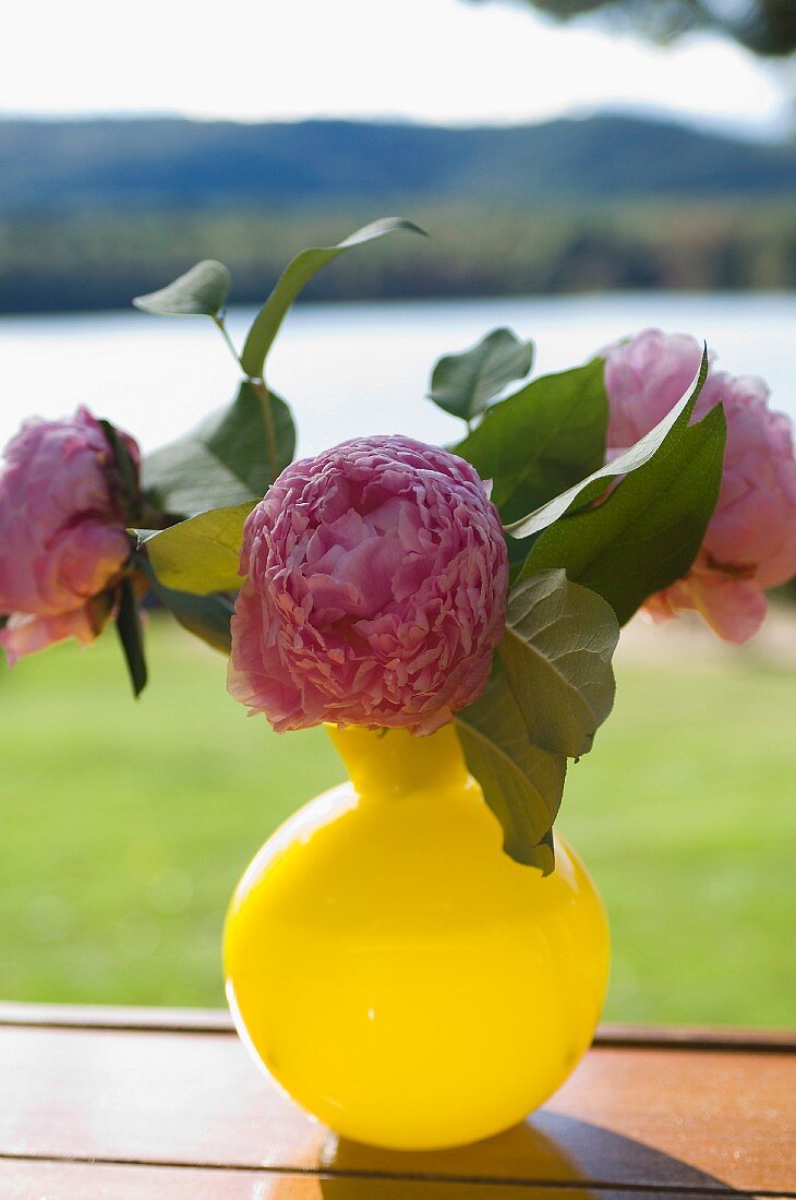 Rosa Pfingstrosen in gelber Vase auf Holzunterlage