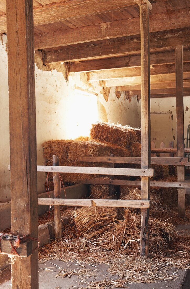 Straw in empty stable