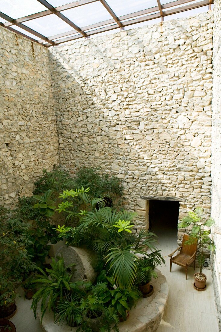 Foliage plants and wooden chair surrounded by tall stone walls in glass-roofed courtyard